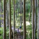 Couple Hiking Through a Serene Forest